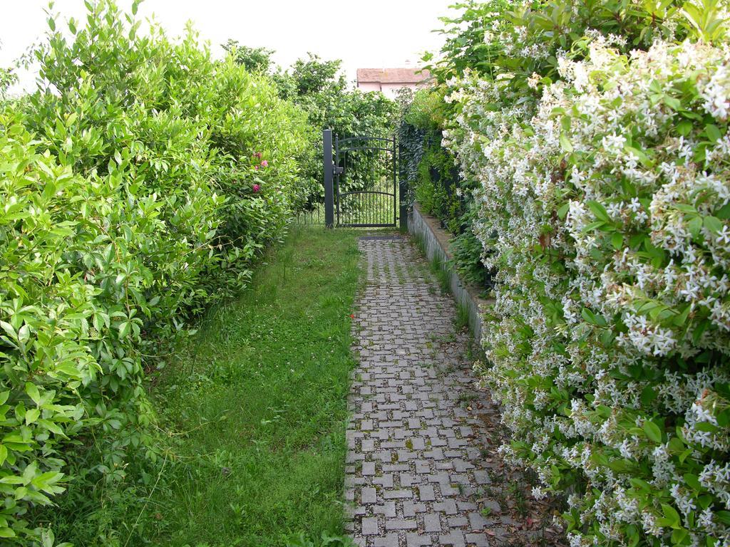 Appartamento Vacanze Magnolia E Glicine Tuoro sul Trasimeno Luaran gambar